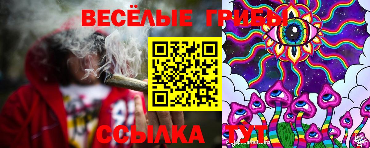Псилоцибиновые грибы GOLDEN TEACHER  Вход с VPN  Мелеуз  Галлюциногенные грибы прущие грибы 