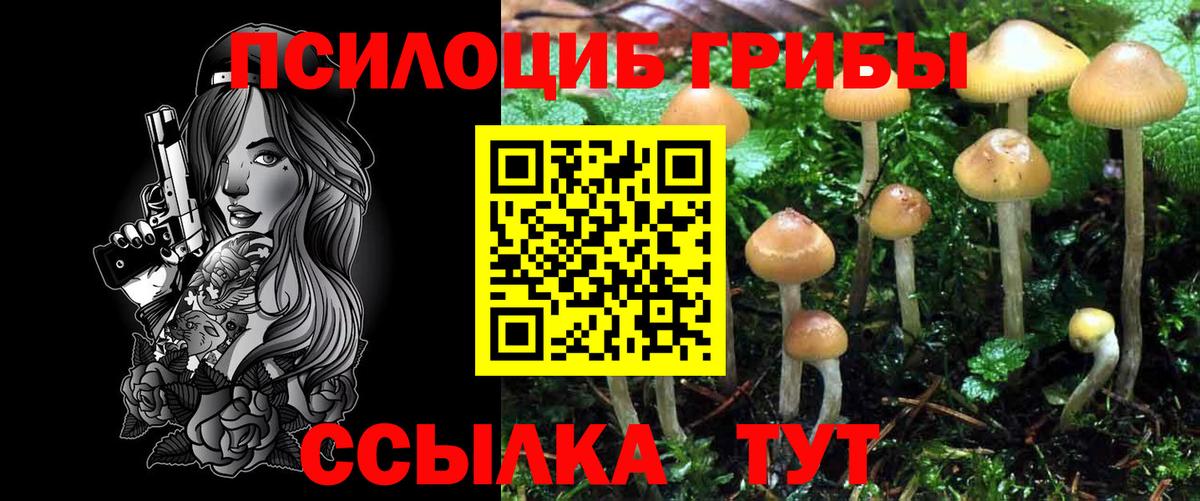 Псилоцибиновые грибы Psilocybine cubensis Мелеуз